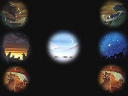 We have 56+ amazing background what is a desktop wallpaper? Warrior Cats Wallpapers Desktop Wallpaper Cave Warrior Cats Computer Background 453339 Hd Wallpaper Backgrounds Download