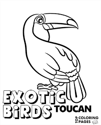 Cloud forest toucan coloring page desenhos rabiscos quadro. Exotic Birds To Color Toucan Coloring Page