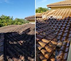 Maybe you would like to learn more about one of these? Power Washing Lansing Mi Proclean Softwash Methods