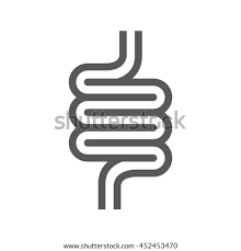 They are both very important parts in the ending. Colon Icon At Getdrawings Free Download