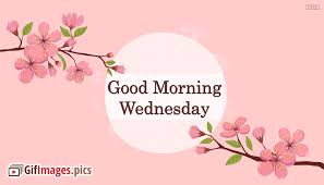 Morning is the best time when you feel the freshness after a full night sleep. Good Morning Gif Wednesday Gifimages Pics