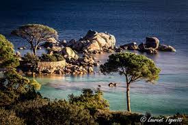Fonds décran france corse catégorie wallpaper voyages. Hintergrundbilder Landschaft Sonnenuntergang Meer Bucht Wasser Rock Natur Ufer Himmel Strand Tourismus Kuste Kanon Panorama Korsika Paysage Stift Baum Pflanze Ozean Seelandschaft Corse Mer Plage Rocher Arbre Tropen Computer