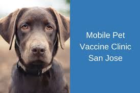24 hour vet care, vaccinations, pet declawing Mobile Pet Vaccine Clinic San Jose Blog