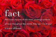 Know Your Rose Meanings Give The Right Rose Fresh By Ftd Rose Meaning Rose Color Meanings Red Roses