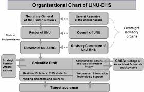 Organisational Chart Of Unu Ehs 60 Download Scientific