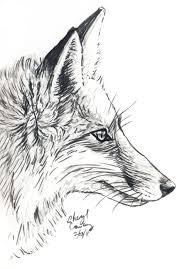 Fox Profile By Silvercrossfox On Deviantart Fox Drawing Sketches Fox Drawing Fox Art