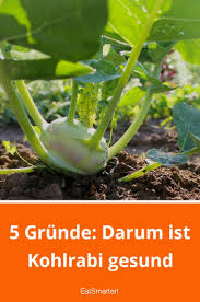 5 Grunde Darum Ist Kohlrabi Gesund Gesundheit Kohlrabi Ernahrung