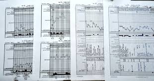 Cycle 1 Nfp Charting Series How We Flourish