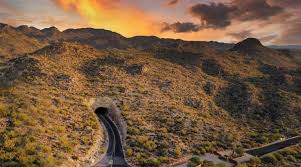 While the natural beauty of these desert plants is impressive, they can become problematic. Real Estate Community News Saguaro Ranch