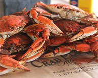 By the dozen, or by the bushel, you won't find better steamed crabs anywhere in maryland. The Crab Place Official Site Crab Season Is Here Maryland S Leading Online Seafood Retailer