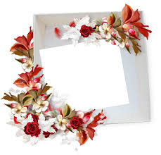 Scegli tra 37000+ cornice risorse grafiche e scarica sotto forma di png, eps, ai o psd. Cornici Floreali In Png Adatte Per Ogni Occasione