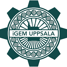 Kvalitet, kunskap och kreativitet sedan 1477. Team Uppsala Universitet 2019 Igem Org