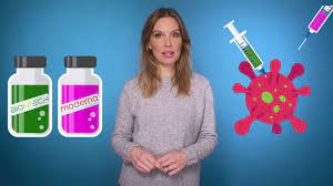 Diese impfstoffe enthalten informationen aus der. Video Dr Julia Fischer Erklart Impfstoffe Im Vergleich Biontech Und Moderna Rbb24