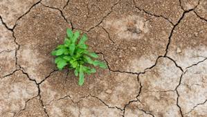 We did not find results for: Que Es La Resiliencia Y Como Ser Una Persona Resiliente Iberdrola