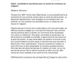 Les lettres de motivation pour postuler à une offre d'emploi, à un stage ou à une candidature spontanée sont différentes. Lettre De Motivation Hermes Rungon K