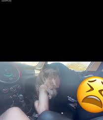 teen dog in car 