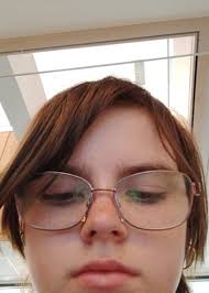 Who is the person trespassing past locked gate in Willow Alaska?