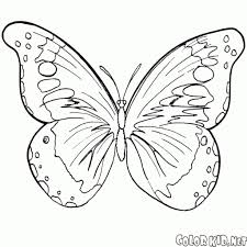 Disegni Da Colorare Farfalla E Lestate Per Quanto Riguarda Farfalle Da Colorare E Stampare Disegni Da Colorare Disegni Farfalle Di Carta