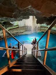 Is Devil's Den worth it? 👀 Here's my honest take after visiting this viral  Florida spring ⁣📌: 𝐒𝐀𝐕𝐄 & 𝐒𝐇𝐀𝐑𝐄 🌀 You can't just walk in and  explore the Den—you have to