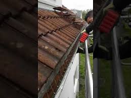 Vogelabwehr Dachrinne Youtube Dachrinne Dach Haus