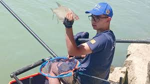 Mileymercier nue AZNude has a global mission to organize