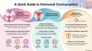 Image result for Progestin Activity