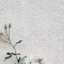 Maybe you would like to learn more about one of these? Background Bunga Rustic Bunga Keren White Aesthetic Tumblr Flower Hd Wallpapers Source Www Elsetge Cat 102 Best Flowe Wallpaper Bunga Dinding Bunga Bunga