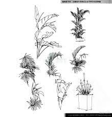 手绘学习方案 手绘植物单体线稿的画法 技巧 拓展练习及错误的画法 绘世界手绘 home decor decals decor home decor