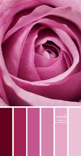 Maybe you would like to learn more about one of these? Shades Of Pink Colour Combination Pink Color Names Itakeyou Co Uk