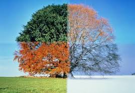 Resultado de imagem para ny fall spring