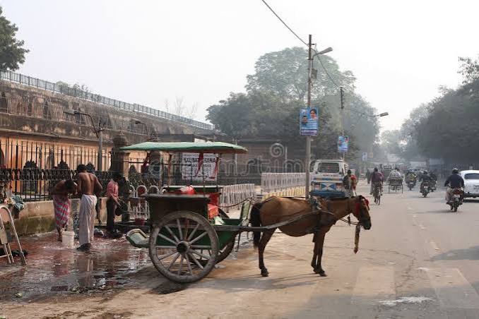 Tonga Horse Cart Stock Photos - Free & Royalty-Free Stock Photos from Dreamstime
