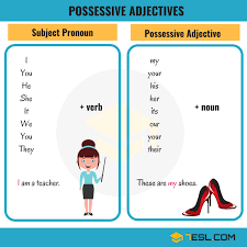 Maybe you would like to learn more about one of these? Possessive Adjective All You Need To Know About Possessive Adjectives 7esl