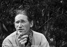 Technology: a reply to David Holmgren