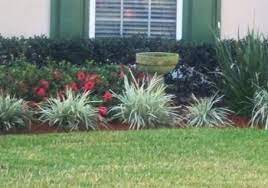 Recruiting news for prospective aztecs. Aztec Grass Landscaping Aztec Grass Grass Landscaping