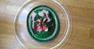 Καλωσορισμα καλωσορίσατε στoν ιστότοπο του υπουργείου παιδείας, πολιτισμού, αθλητισμού και νεολαίας της κύπρου. Hfaisteia Kai Seismoi Ekpaideythria Palladio Nea Anakoinwseis