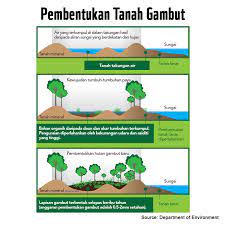 Get tanah gambut weather and area codes, time zone and dst. Wwf Malaysia Tahukah Anda Apa Itu Tanah Gambut Mari Facebook