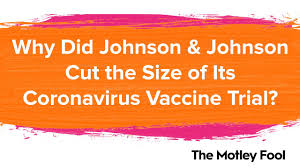 But the results came with a significant cautionary. Why Did Johnson Johnson Cut The Size Of Its Coronavirus Vaccine Trial Nasdaq