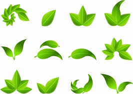 A vector can also mean a pointer. Leaf Free Vector Download 5 818 Free Vector For Commercial Use Format Ai Eps Cdr Svg Vector Illustration Graphic Art Design