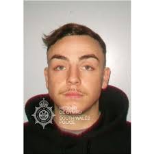 Drug dealer jailed after Barry chase