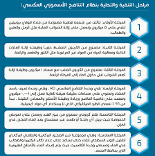 كل فكرة مهمة