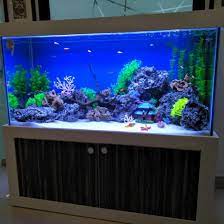 pin by gaurav singh rathore on aquarium design aquarium setup home aquarium aquarium