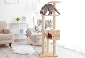 Need something for a 20 pound cat? Best Cat Tree For Large Cats Review In August 2021