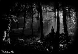 Wolfman Wallpaper By Laselwoo On Deviantart Tons of awesome the wolfman wallpapers to download for free. wolfman wallpaper by laselwoo on deviantart