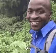 Ok Meme Gifs Tenor