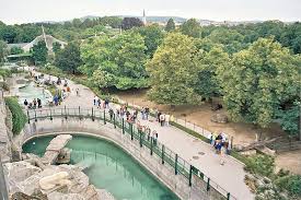 Das restaurant schoenbrunn verwöhnt sie mit einer ausgezeichneten österreichisch mediterranen küche. File Tiergarten Schoenbrunn Overview Jpg Wikimedia Commons
