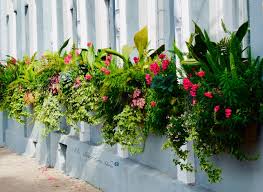Flower window boxes tm brand pvc window boxes are helping to transform the window box industry as your affordable no rot solution to window boxes that look, paint, and feel identical to wood. Ms Toody Goo Shoes Flower Boxes Of Charleston