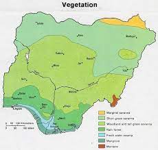 Pin On Nigeria Vegetation
