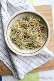 Make your list online and visit your local sprouts The Best Sprouts To Eat And How To Grow Them From Seed
