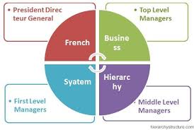 French Business Hierarchy Hierarchy Business Hierarchical Structure