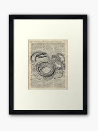 Boa Snake Skeleton Ink And Pen Anatomy Chart Vintage Dictionary Art Framed Art Print